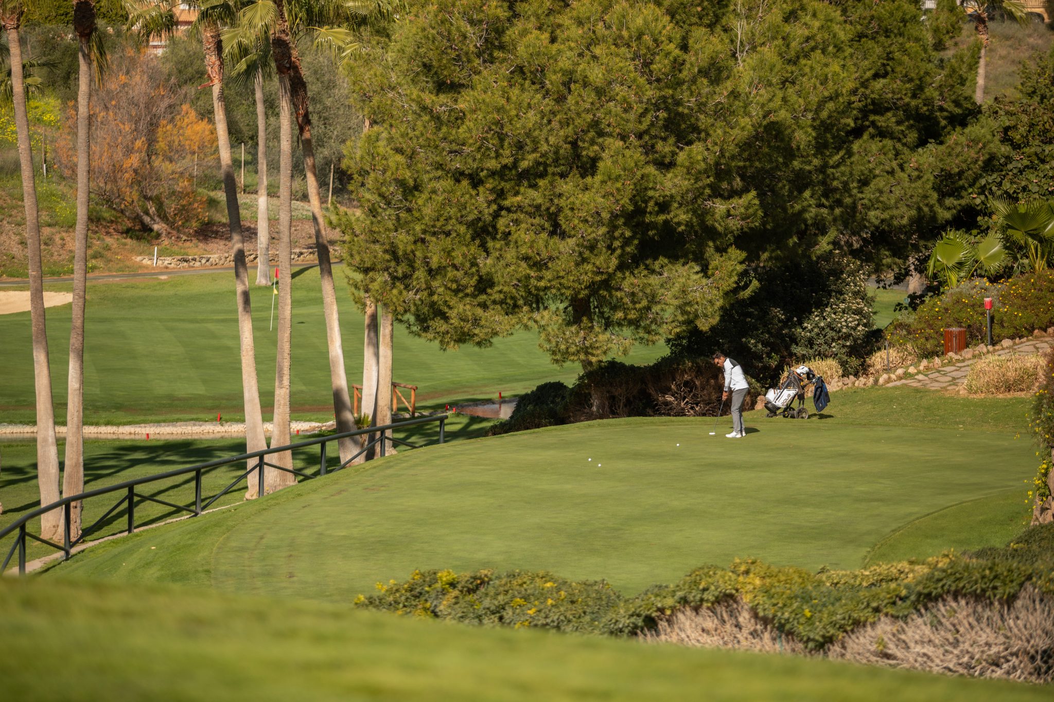 Baviera golf green