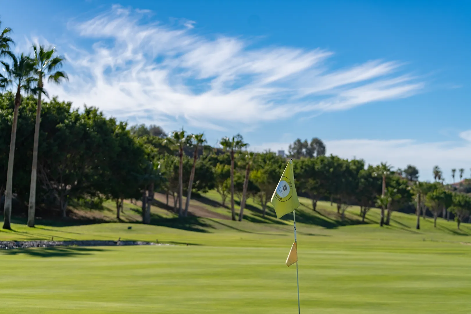 Golf Baviera Flag